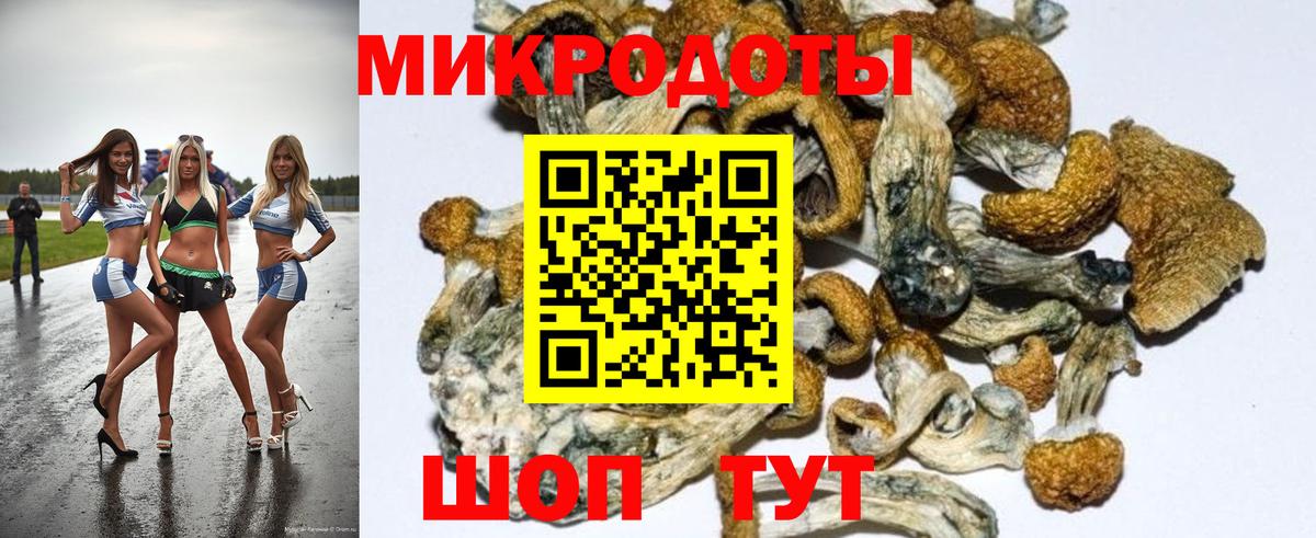 Псилоцибиновые грибы GOLDEN TEACHER  Вход с VPN  наркотики  Саров  Галлюциногенные грибы Psilocybine cubensis 